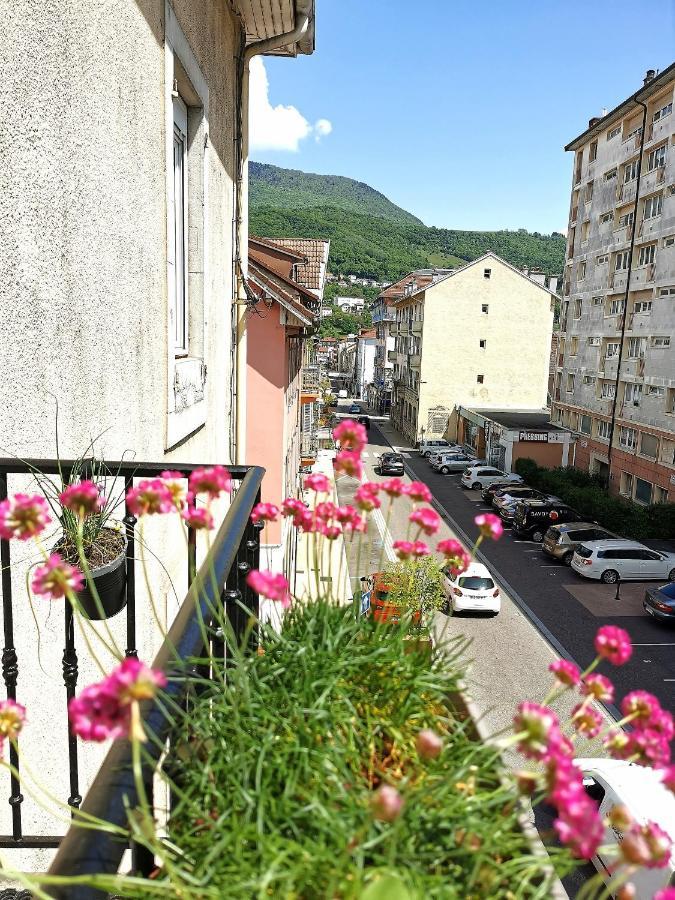 Le Petit Angle Appartement 2 Pieces, Plein Centre Ville, Pres De La Gare Jusqu'A 4 Personnes Bellegarde-sur-Valserine Exterior foto